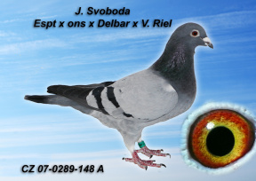 Pre zv��enie klikni na obr�zok